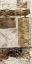 Picture of BIRCH BARK ABSTRACT II