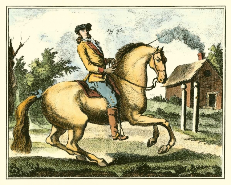 Picture of EQUESTRIAN TRAINING I