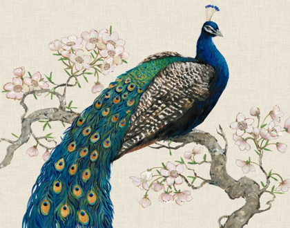 Picture of PEACOCK AND BLOSSOMS I