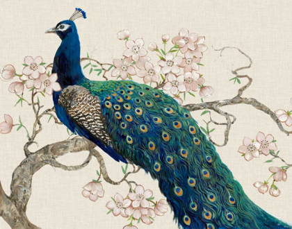 Picture of PEACOCK AND BLOSSOMS II