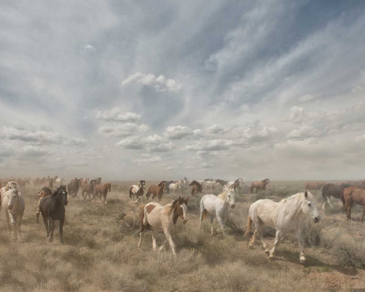 Picture of BIG SKY