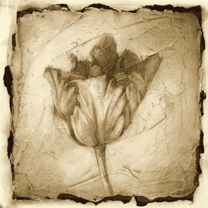 Picture of FLORAL IMPRESSION II