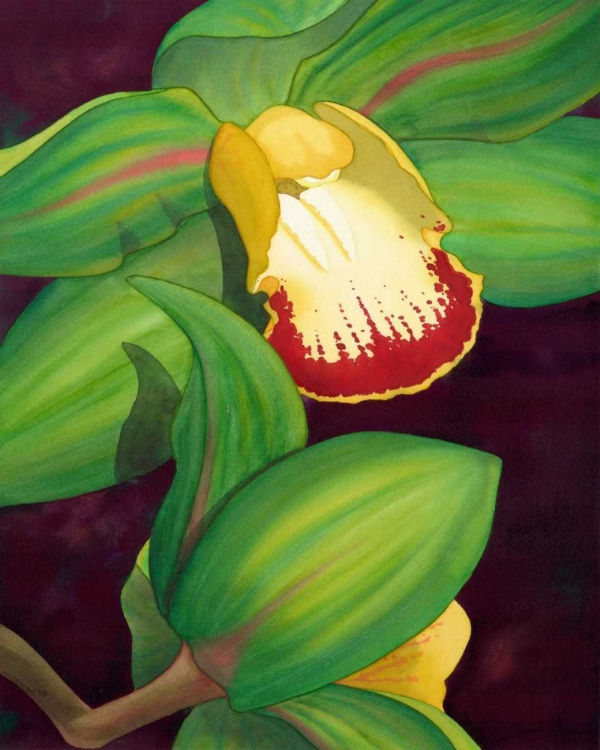 Picture of LIME ORCHID II