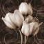 Picture of TULIP AND SWIRLS I