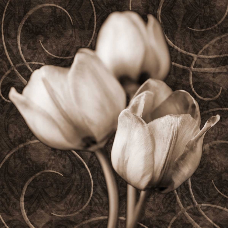 Picture of TULIP AND SWIRLS I