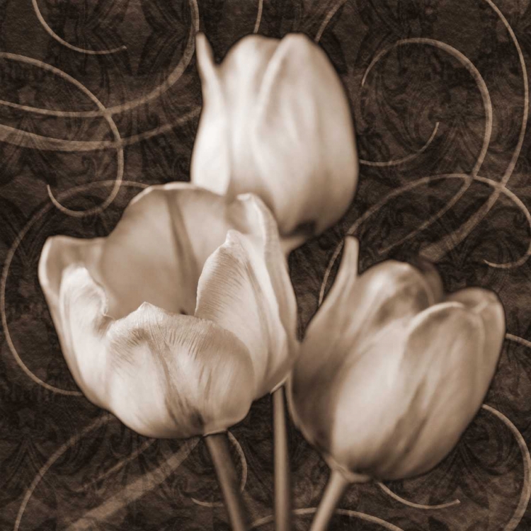 Picture of TULIP AND SWIRLS II