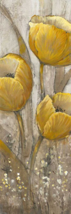 Picture of OCHRE TULIPS II