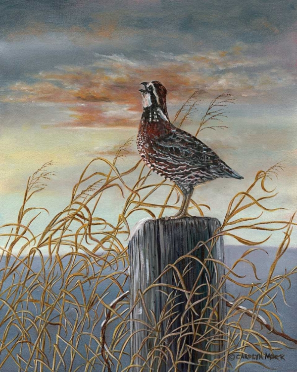 Picture of QUAIL ON A POST