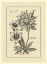 Picture of VINTAGE BESLER I