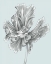 Picture of SILVERY BLUE TULIPS III