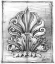 Picture of NON-EMBELLISHED DECORATIVE ORNAMENT I