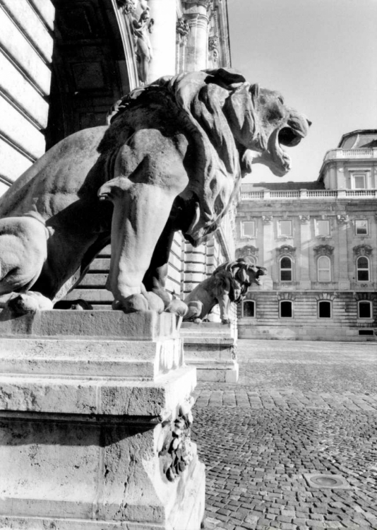 Picture of STANDING GUARD ROYAL PALACE