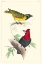 Picture of LEMAIRE BIRDS II