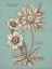 Picture of CHAMBRAY CHINTZ I