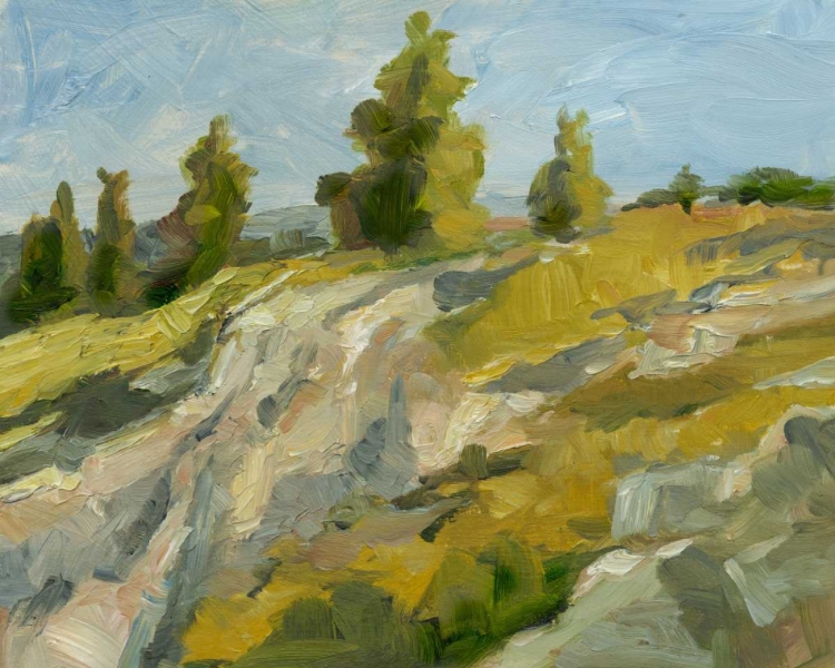 Picture of IMPASTO MOUNTAINSIDE II