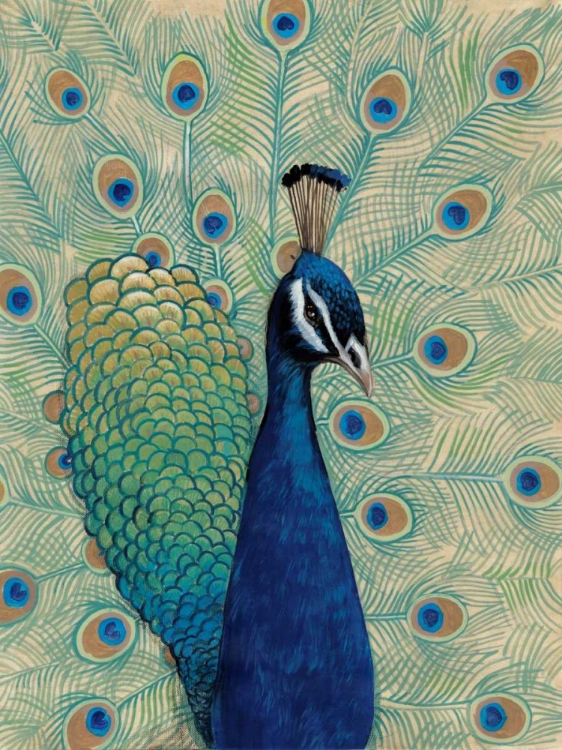 Picture of BLUE PEACOCK I