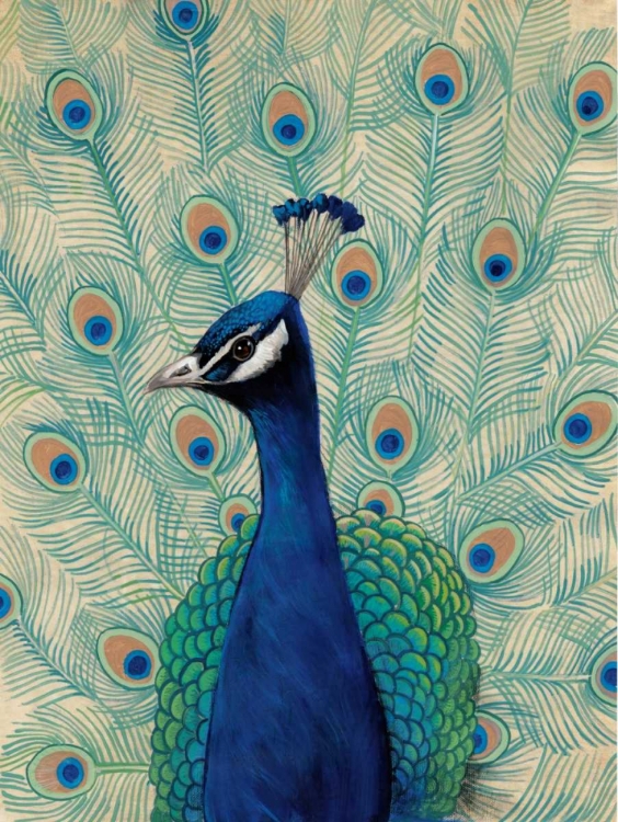 Picture of BLUE PEACOCK II