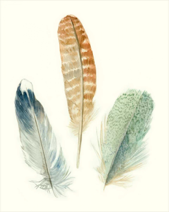 Picture of WATERCOLOR FEATHERS IV