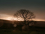 Picture of STORMY SUNSET II