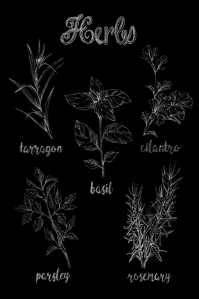 Picture of HERB VARIETIES