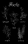 Picture of HERB VARIETIES
