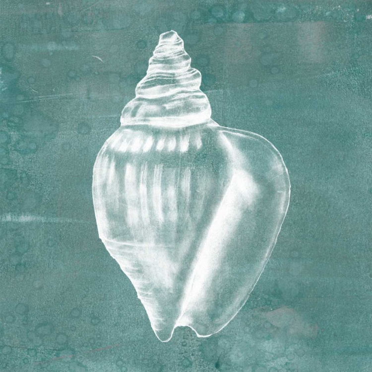 Picture of SOLITARY SHELL II