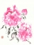 Picture of PEONIE BLOSSOMS I