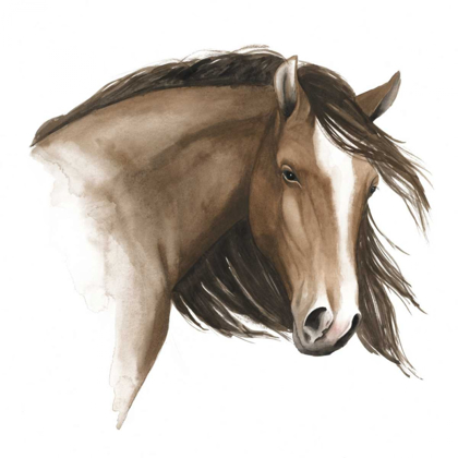 Picture of WILD HORSE I