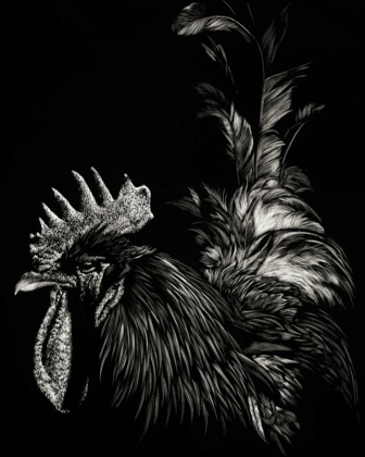 Picture of SCRATCHBOARD TYRANT