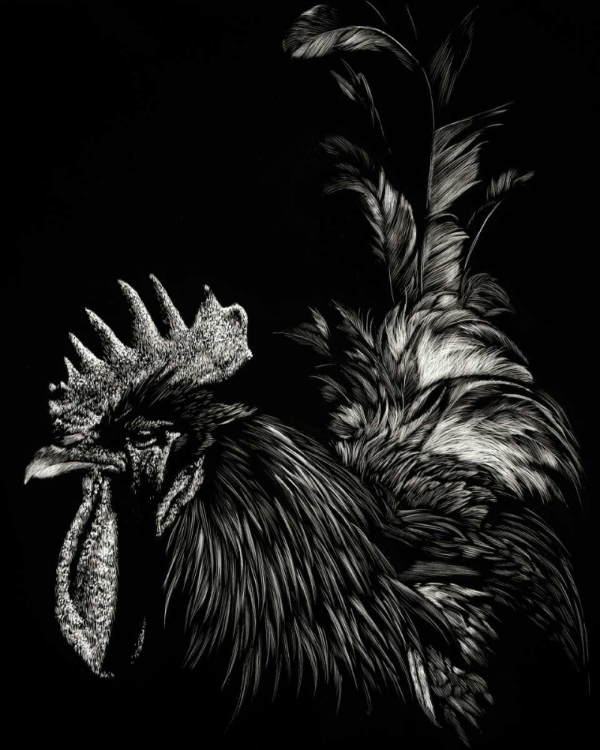 Picture of SCRATCHBOARD TYRANT