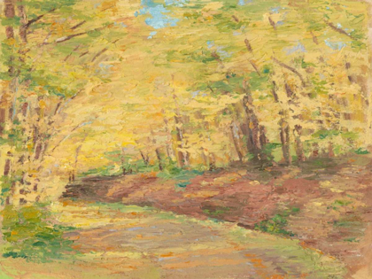 Picture of FALL PATH II