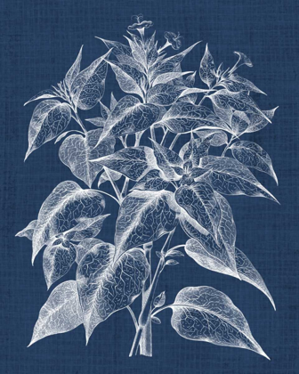 Picture of FOLIAGE CHINTZ III