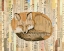 Picture of RED FOX COLLAGE III