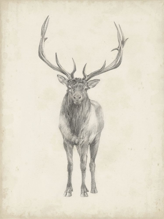 Picture of 40X30 CUSTOM ELK STUDY