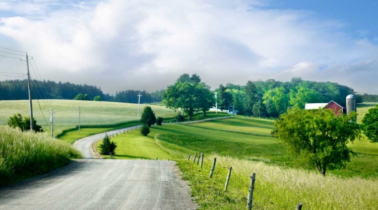 Picture of FARM AND COUNTRY II