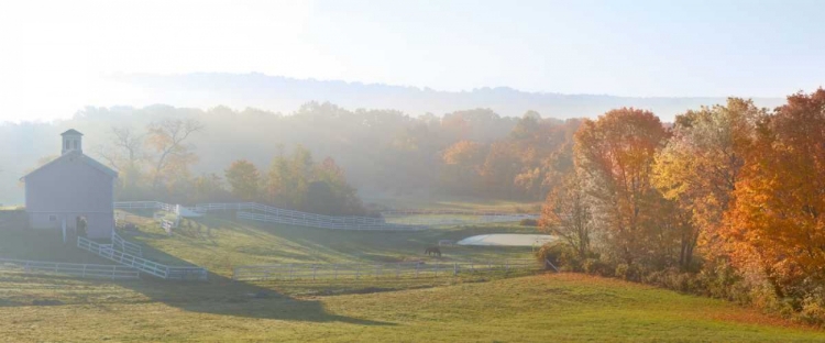 Picture of FARM AND COUNTRY VII