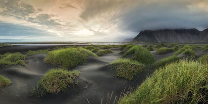 Picture of BLACK DUNES PANORAMA