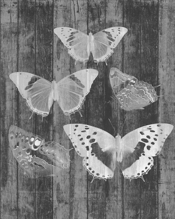 Picture of RUSTIC BUTTERFLY CHART II