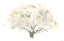 Picture of NEUTRAL ARBOR II