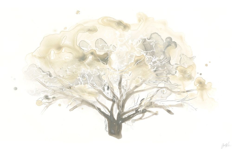 Picture of NEUTRAL ARBOR II