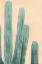 Picture of DUSTY CACTI II