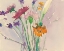 Picture of WILD FLOWER CUTTINGS