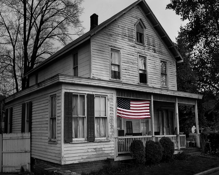 Picture of FLAGS OF OUR FARMERS I