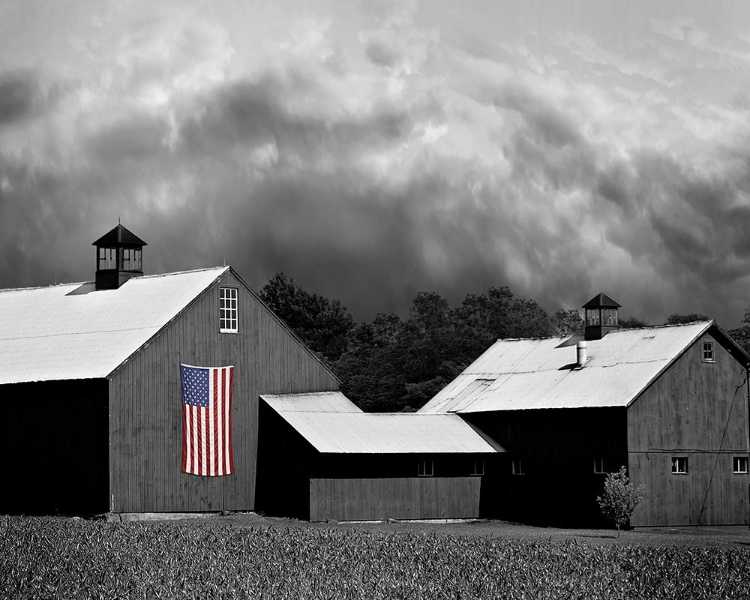 Picture of FLAGS OF OUR FARMERS XV