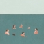 Picture of THE SWIMMERS I