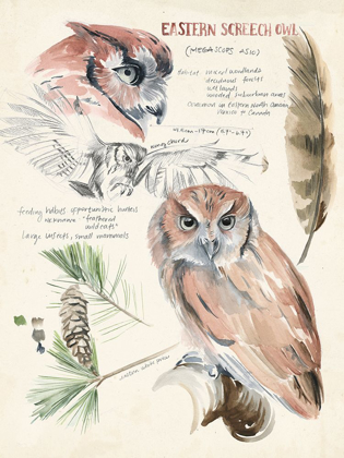 Picture of WILDLIFE JOURNALS I