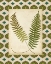 Picture of MOROCCAN FERNS III