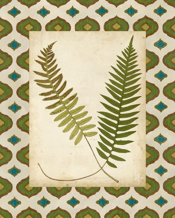 Picture of MOROCCAN FERNS III