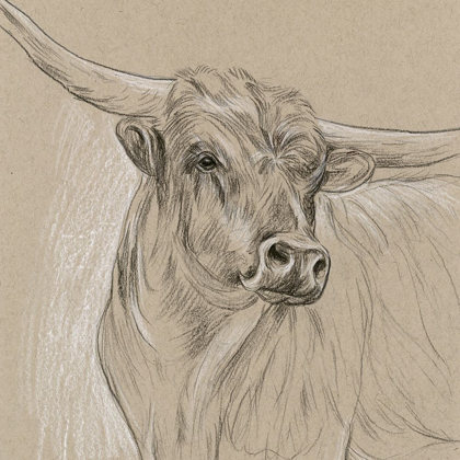 Picture of LONGHORN SKETCH I