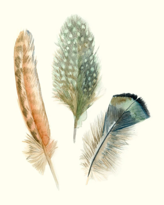 Picture of WATERCOLOR FEATHERS I